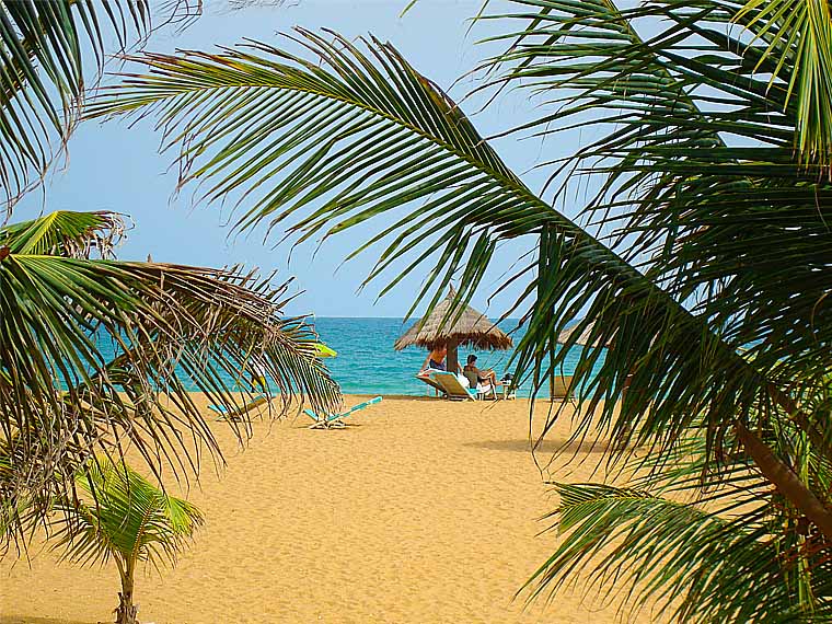 Plage, Jeux, Beach Party au Jungle Beach Bar à L'hôtel Awalé Plage (Grand Popo - Bénin)